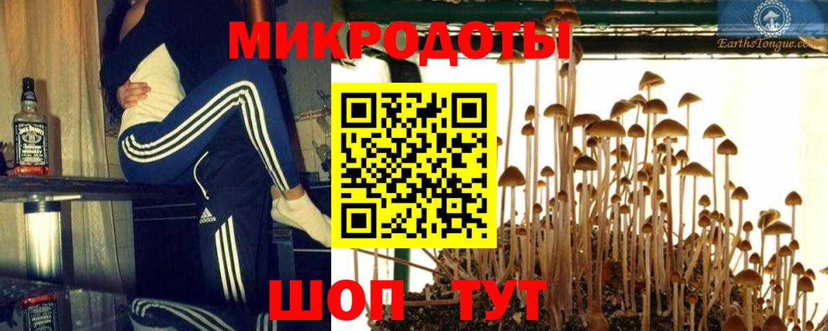 Псилоцибиновые грибы мицелий  Вход с VPN  магазин продажи наркотиков  Псилоцибиновые грибы мухоморы  Чехов 